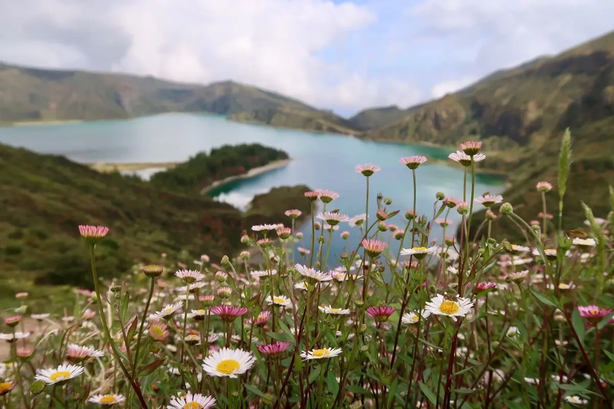 Tag på vandreferie til Azorerne - fire grunde til du vil elske det